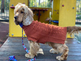 Betti in Coco & Pud Coco Cable Pet Sweater Sienna