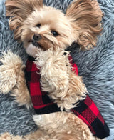 Humphrey in Coco & Pud Boston Pet Sweater Red/Black