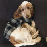 Coco & Pud Boston Dog Sweater - Grey/ Black - Coco & Pud