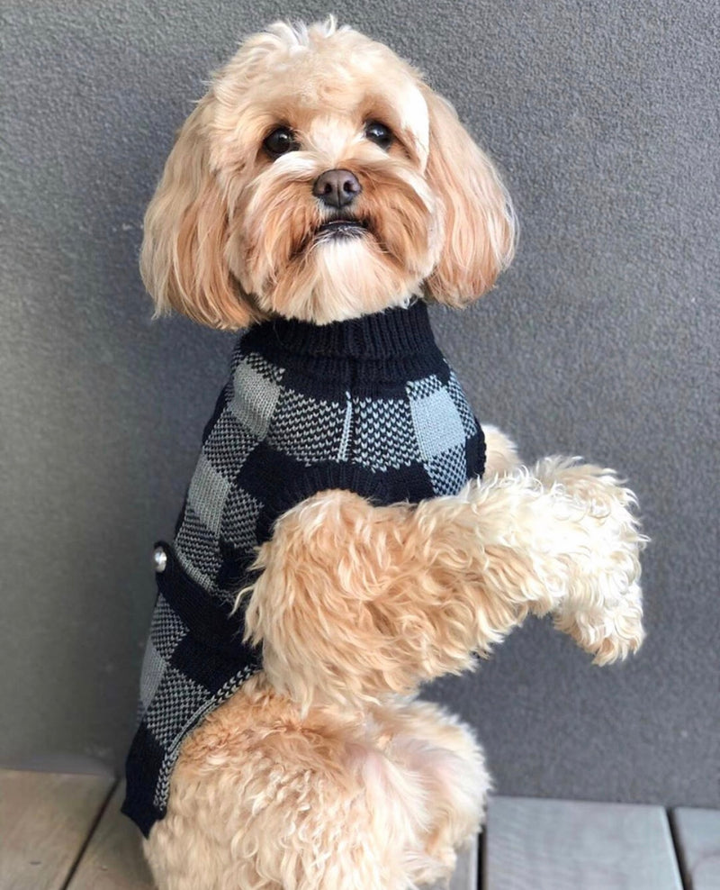 Humphrey in Coco & Pud Boston Dog Sweater Black/Grey