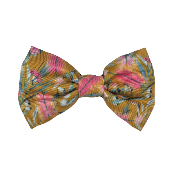 Coco & Pud Brush With Nature Cat Bow tie