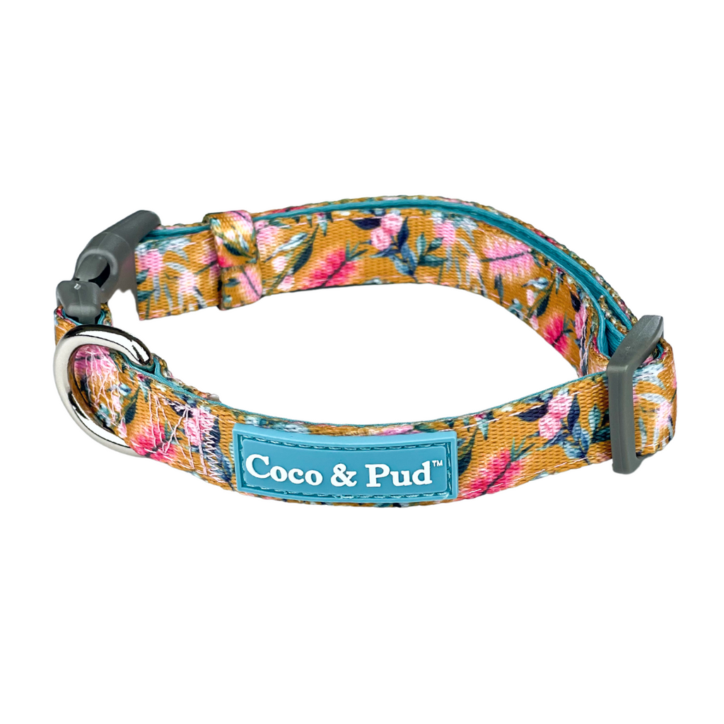 Brush With Nature Dog Collar Coco Pud