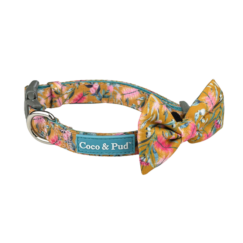 Coco & Pud Brush With Nature Dog Collar & Bow tie