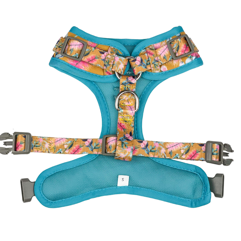 Coco & Pud Brush With Nature Adjustable Dog Harness - back