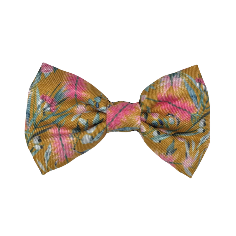 Brush With Nature Dog Bow tie
