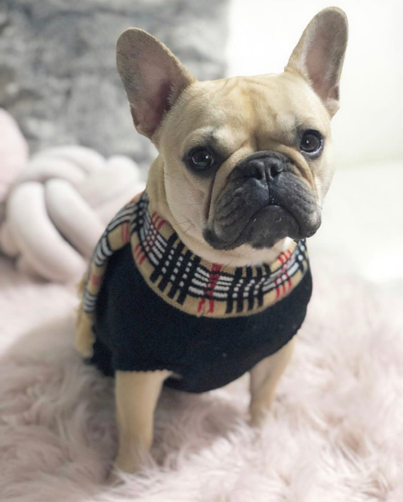 Coco & Pud Chelsea Dog Sweater - Coco & Pud