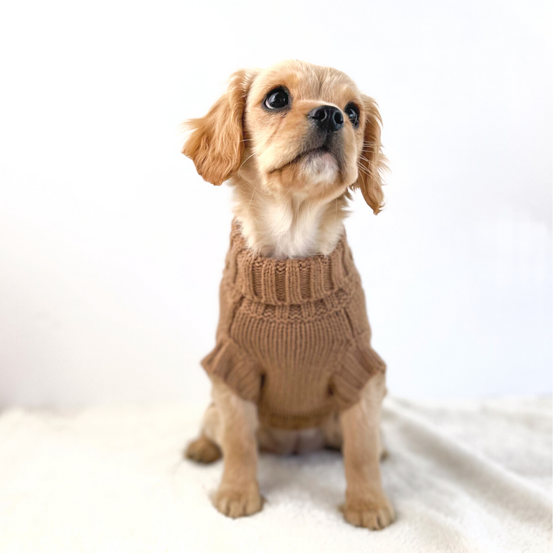 Coco Cable Dog Sweater Cinnamon Coco Pud