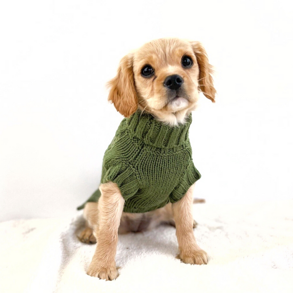 Coco & Pud - Cocop Cable Wool Dog Sweater with Cavoodle - Olive