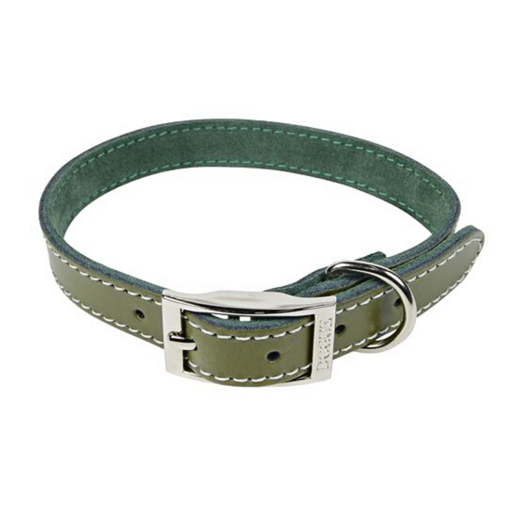 Forest green clearance dog collar