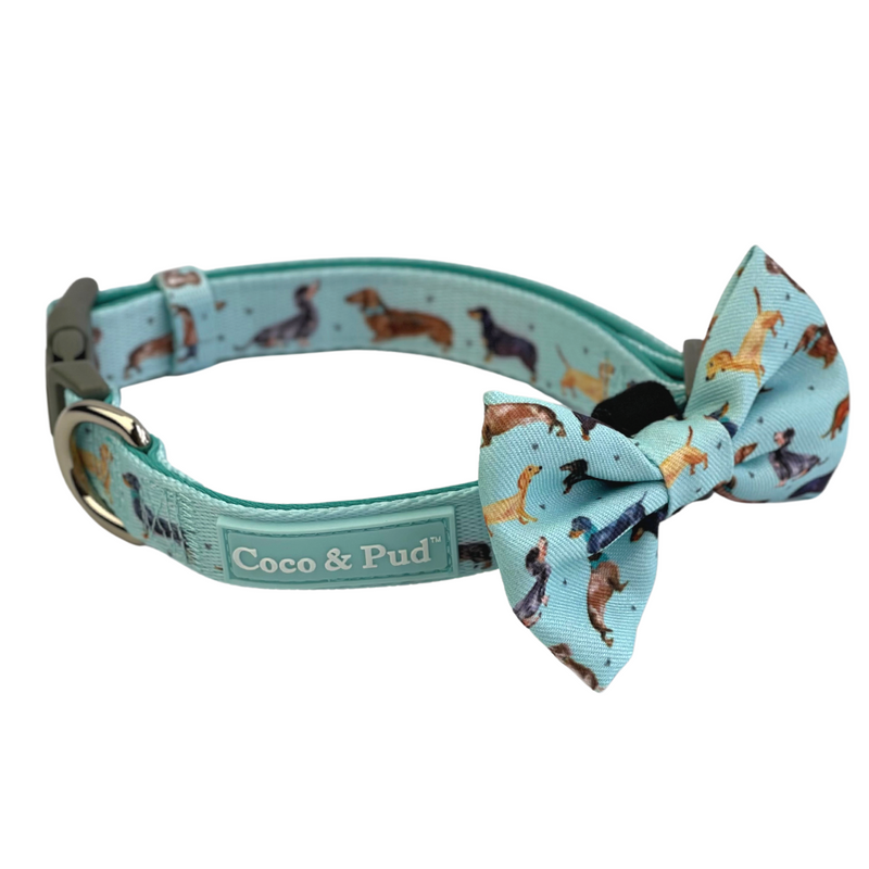 Coco & Pud Doxie Love Dog collar & Bow tie