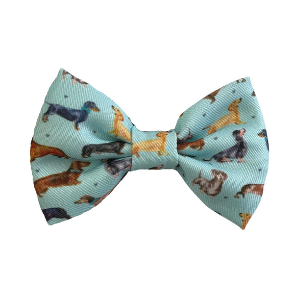 Doxie Love Cat Bow tie
