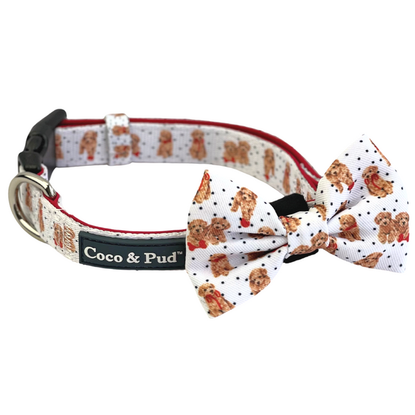 Coco & Pud Oodles of Fun Dog Collar and Bow tie