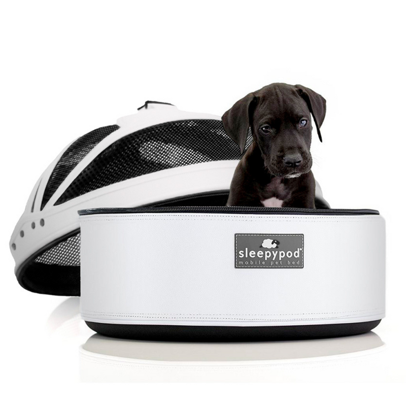 Coco & Pud Sleepypod mobile bed Australia with cute puppy inside
