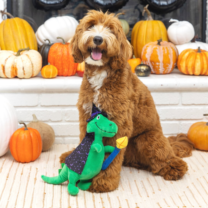 Coco & Pud Spell-a-Saurus Dino Witch Halloween Dog toy with Groodel dog - Fringe Studios