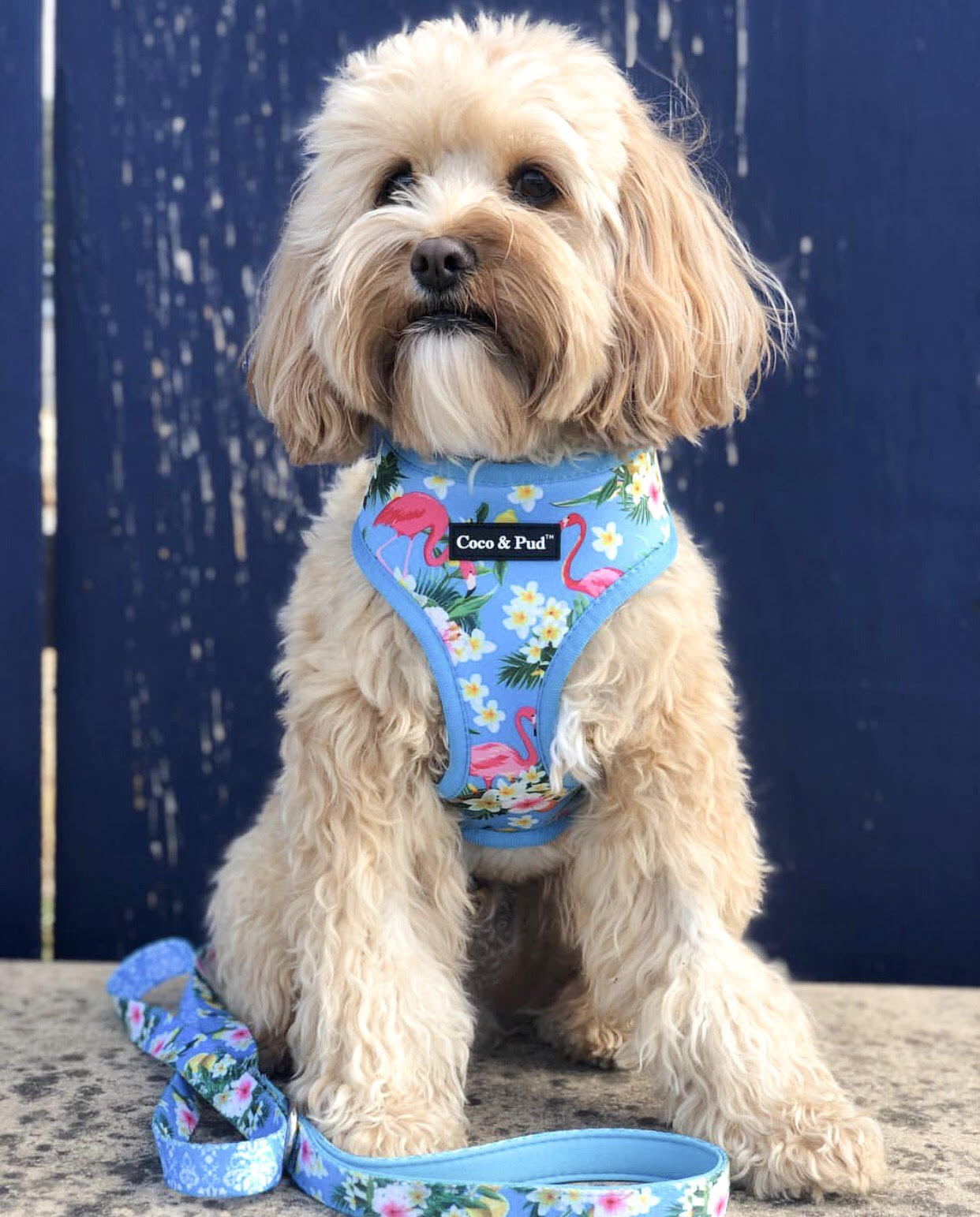 Flamingo dog harness online
