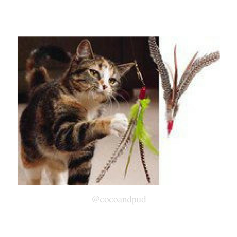 Coco Pud Da Bird Cat Toy Long Rod