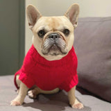 Daisy in Coco & Pud Coco Cable Barn Red Sweater