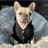 Daisy in Coco & Pud Edinbrugh Black Pet Sweater