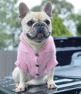 Daisy in Coco & Pud Edinbrugh Pet Sweater Pink