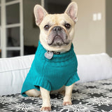 Daisy in Coco & Pud Coco Cable Pet SweaterTeal