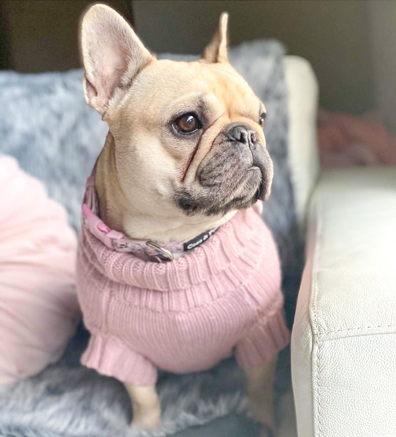 Daisy in Coco & Pud Coco Cable Rose Sweater