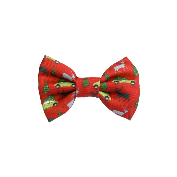 Cat christmas bow tie new arrivals