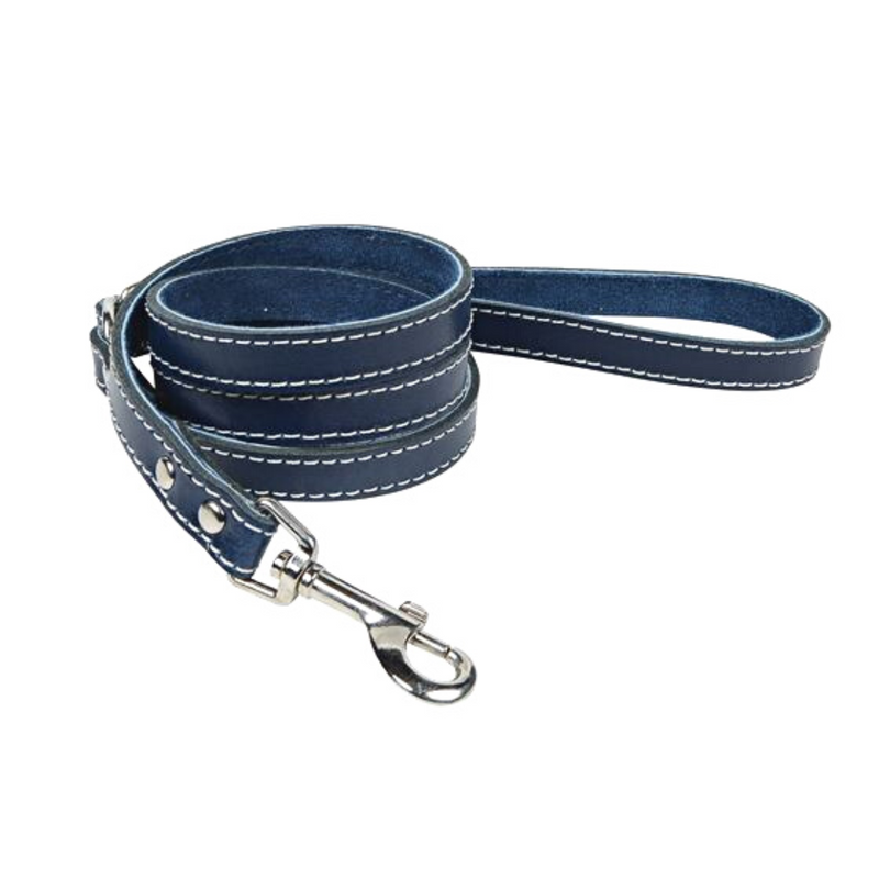 Leather online dog leads
