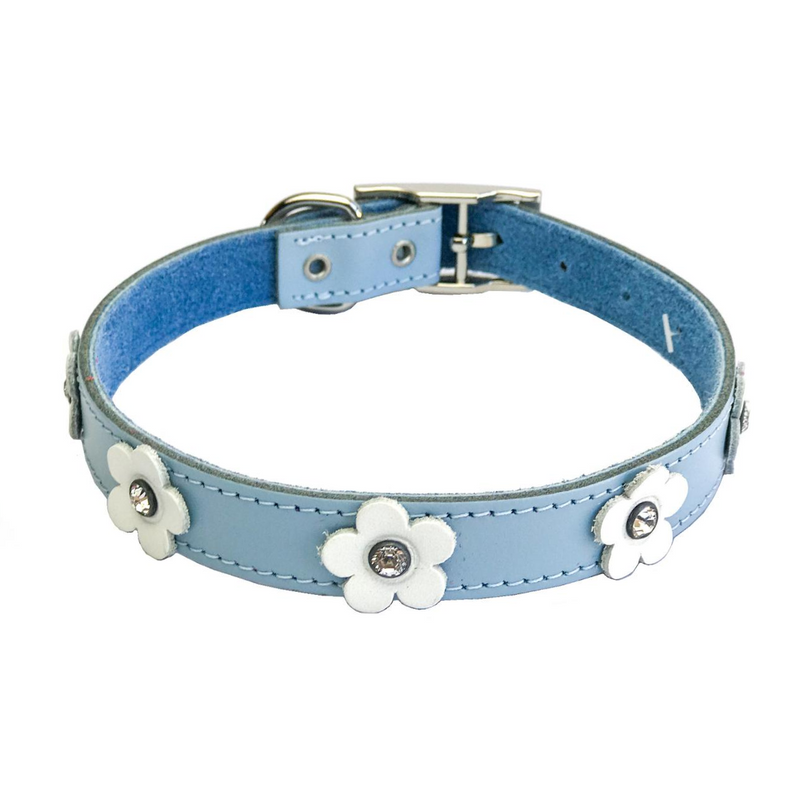 DOGUE Foxy Dog Collar - Blue