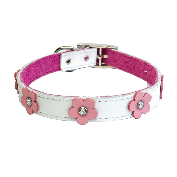 Dogue collars store