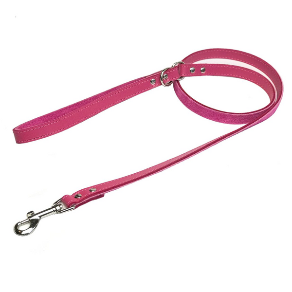 Pink leather dog sales lead
