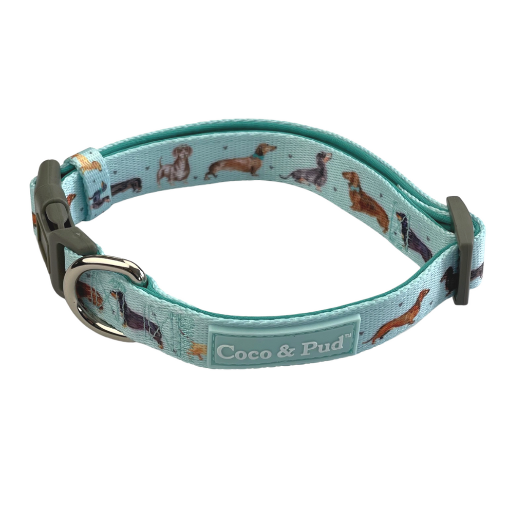 Coco lane hot sale couture dog collar