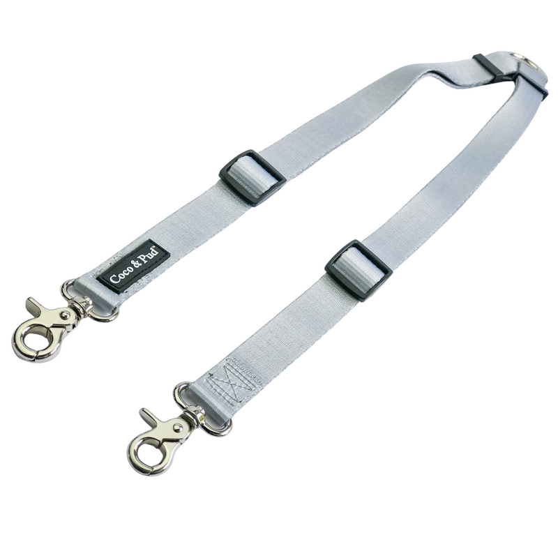 Dual sales dog leash