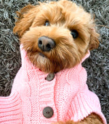 Rosie in Coco & Pud Edinbrugh Pet Sweater Pink