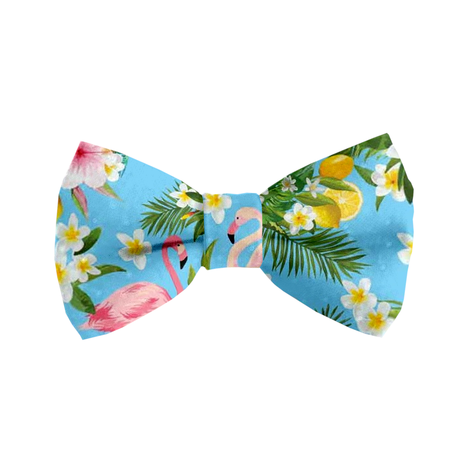 Flamingo Tropical Cat Safety Collar & Bell – Coco & Pud