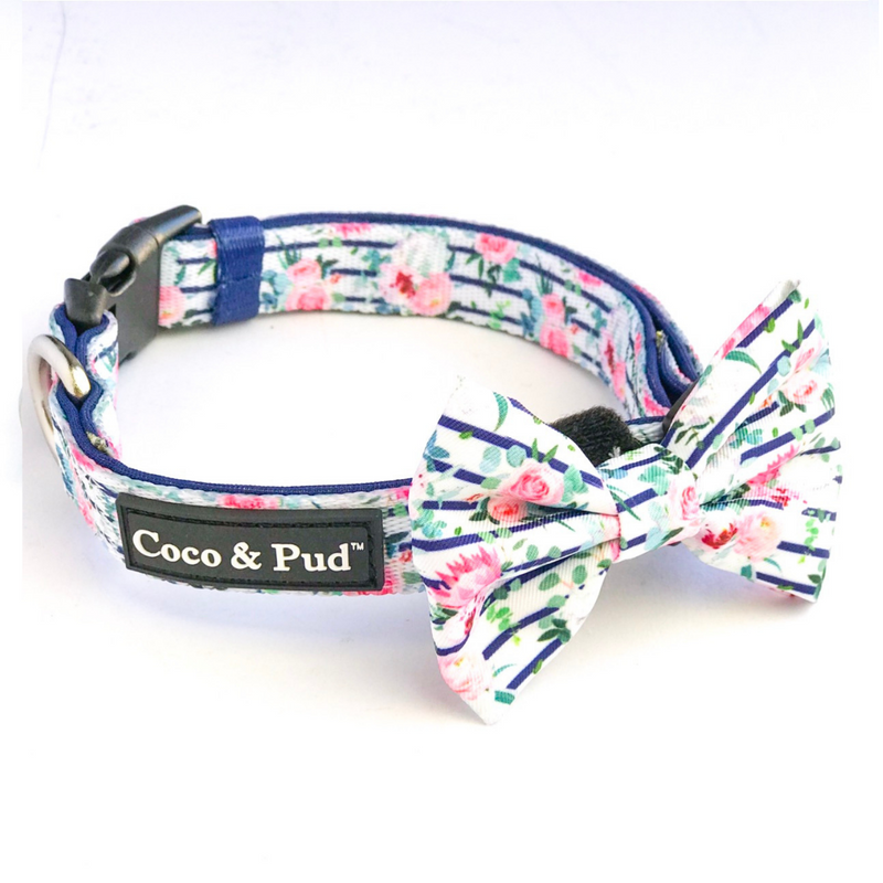 Coco & Pud Floral Blooms Collar & Bowtie - Coco & Pud