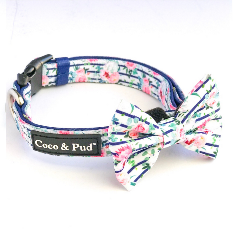 Dog bow online tie collar australia