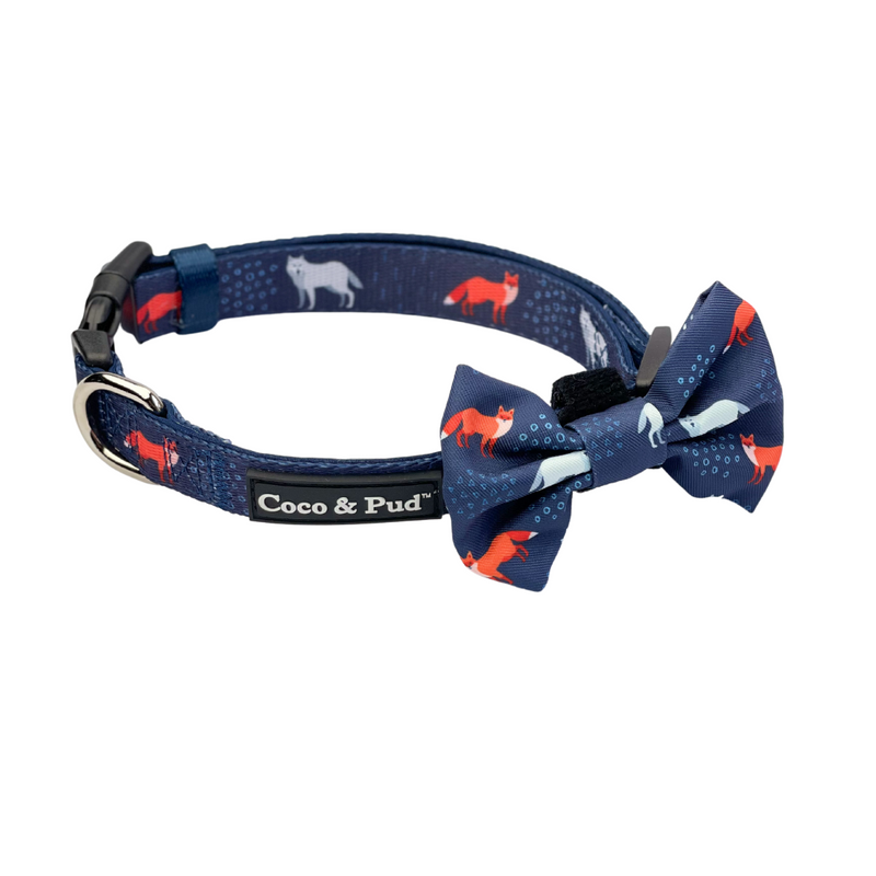 Friends dog shop collar