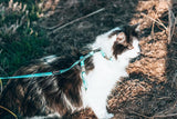 Coco & Pud Audrey Cat Harness & Lead