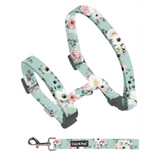 Coco & Pud French Azure Cat Harness & Lead Set