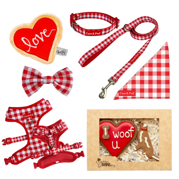 Coco & Pud Gingham Red Valentines Day Dog Hamper