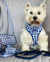 Westie Hamish in Gingham Navy Adjustable Dog Harness - Coco & Pud