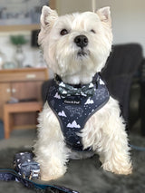 Hamish in Coco & Pud Luna Bear