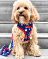 Coco & Pud Hamptons Dog Collar & Bowtie - Coco & Pud