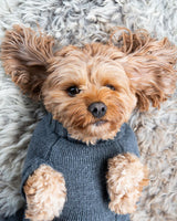 Bella in Coco & Pud Coco Cable Sweater Slate Grey