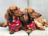 Henry & Pippa in Coco & Pud Deck the Paws Christmas Dog Bandana