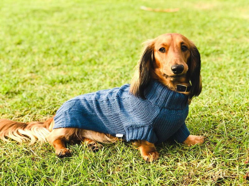 Henry in Coco & Pud Coco Cable Sweater Navy