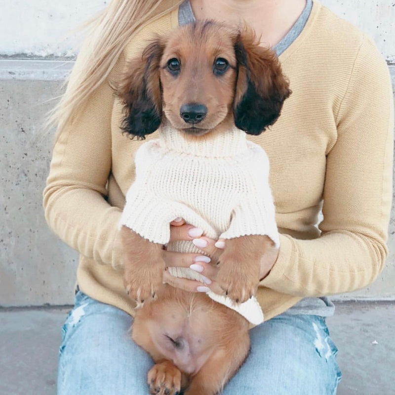 Coco & Pud Brighton Dog Sweater - Cream - Coco & Pud