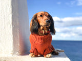 Henry in Coco & Pud Coco Cable Pet Sweater Sienna