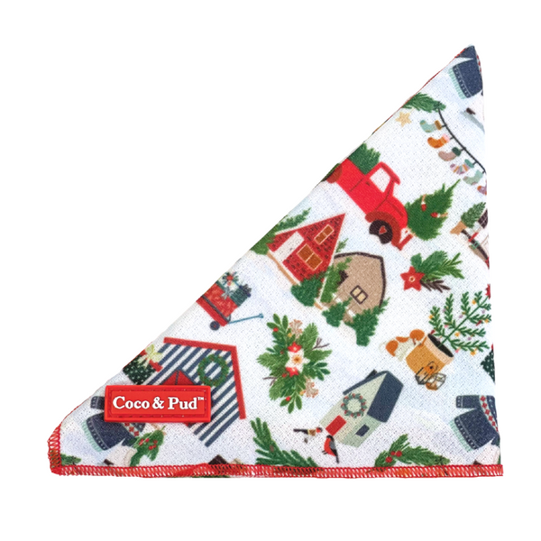 Dog christmas discount bandana australia