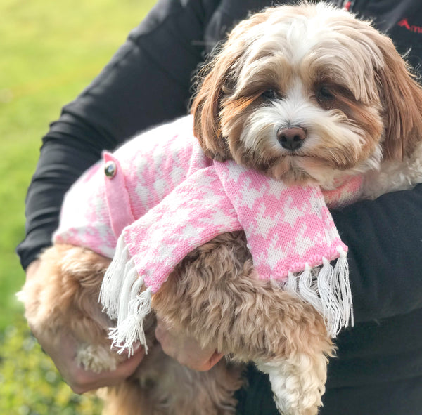 Maisie in Houndstooth Pink Pet Sweater